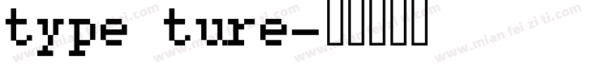 type ture字体转换